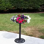 Laurel B&B Shannonbridge