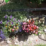 B&B Laurel Shannonbridge