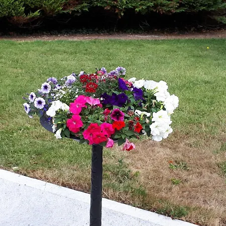 Nocleg ze śniadaniem Laurel 3*