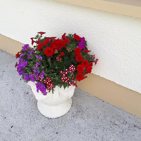 Nocleg ze śniadaniem Laurel Shannonbridge