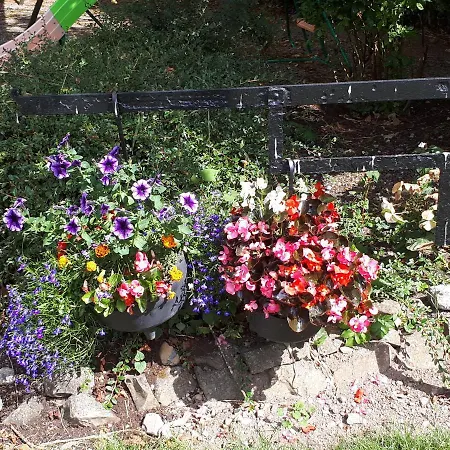 Nocleg ze śniadaniem Laurel Shannonbridge