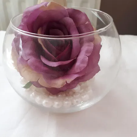 Laurel Shannonbridge