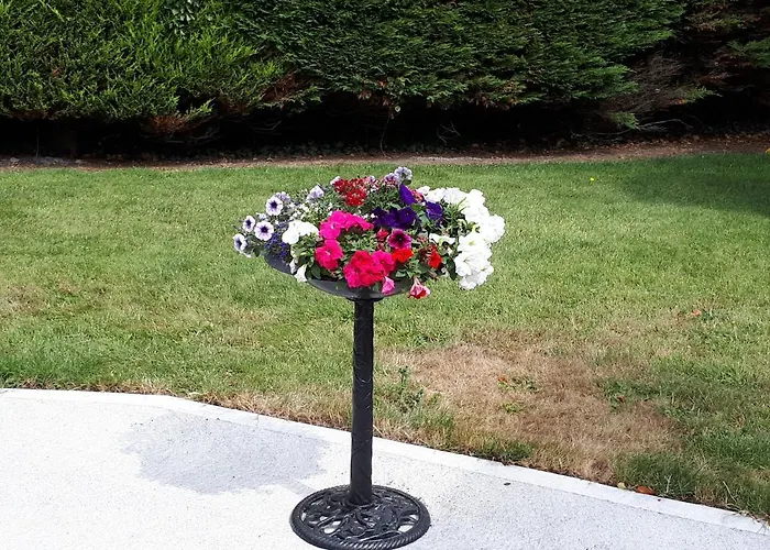 Laurel Bed & Breakfast Shannonbridge