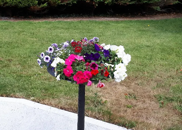 Bed & Breakfast Laurel 3*