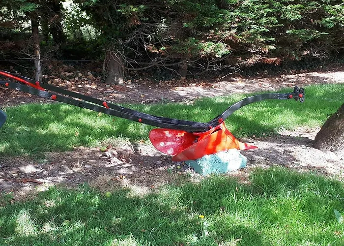 Laurel Shannonbridge