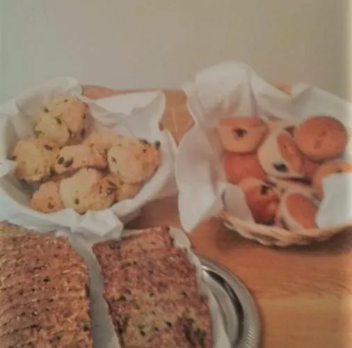 Laurel Shannonbridge