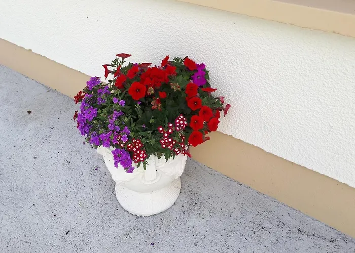 Frühstückspension Laurel Shannonbridge