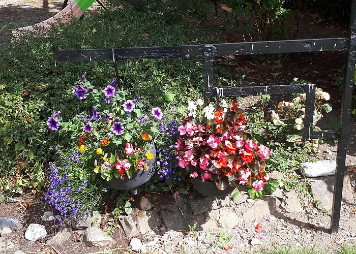 Bed & Breakfast Laurel Shannonbridge