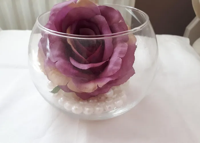 Laurel Shannonbridge